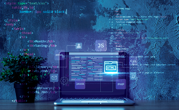 Custom Theme Development